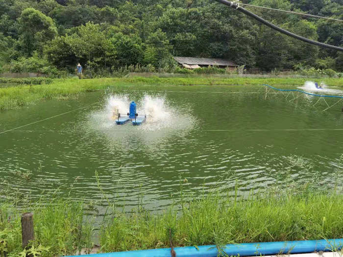 图片点击可在新窗口打开查看