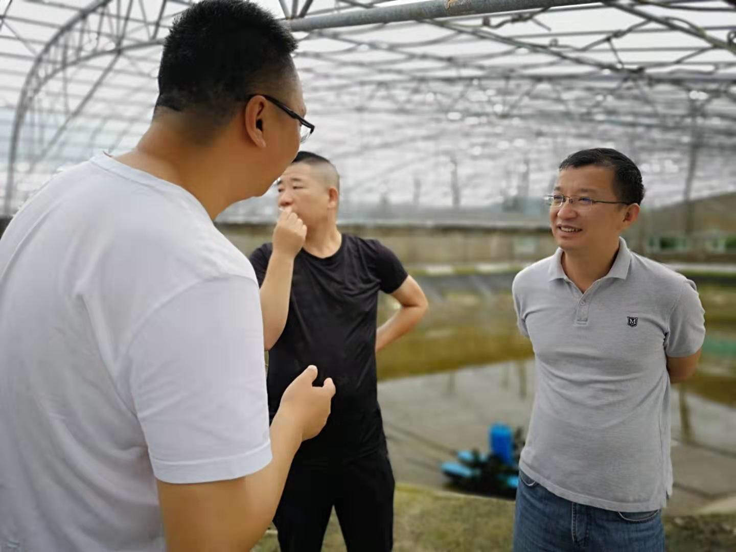 图片点击可在新窗口打开查看