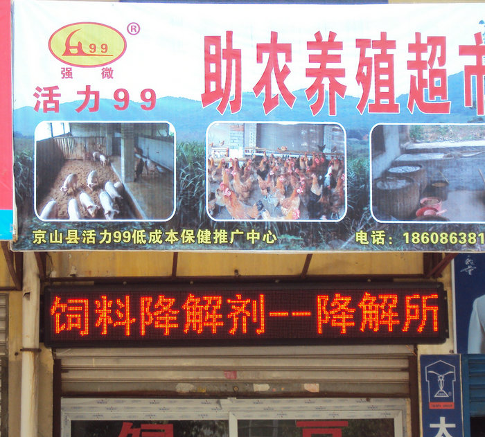 图片点击可在新窗口打开查看